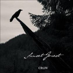 Sunset Forest : Crow